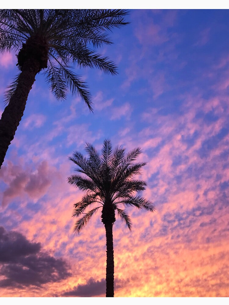 Pink Sunset Palm Trees by newburyboutique
