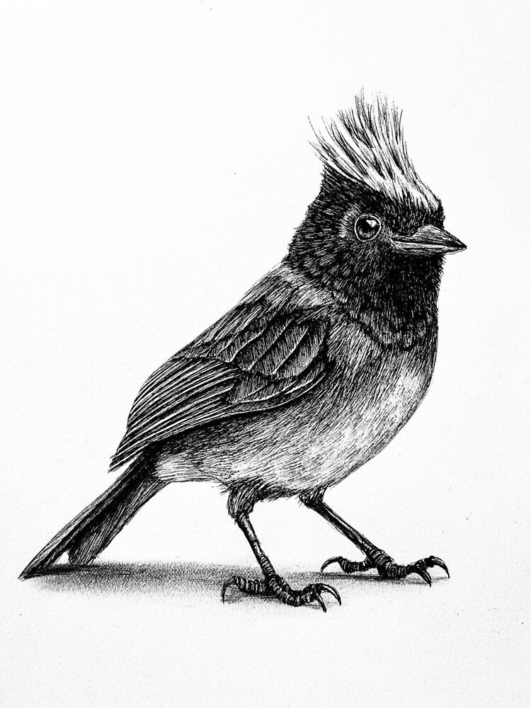 Nightingale's Holiday Stationstores Melodic Song by apiolands