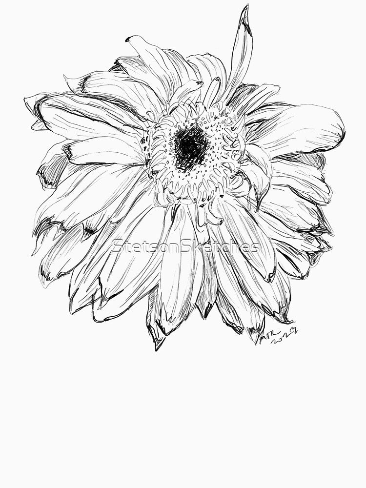 Daisy Drawing by StetsonSketches
