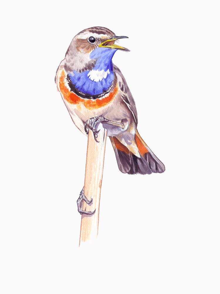 Bluethroat by kokayart