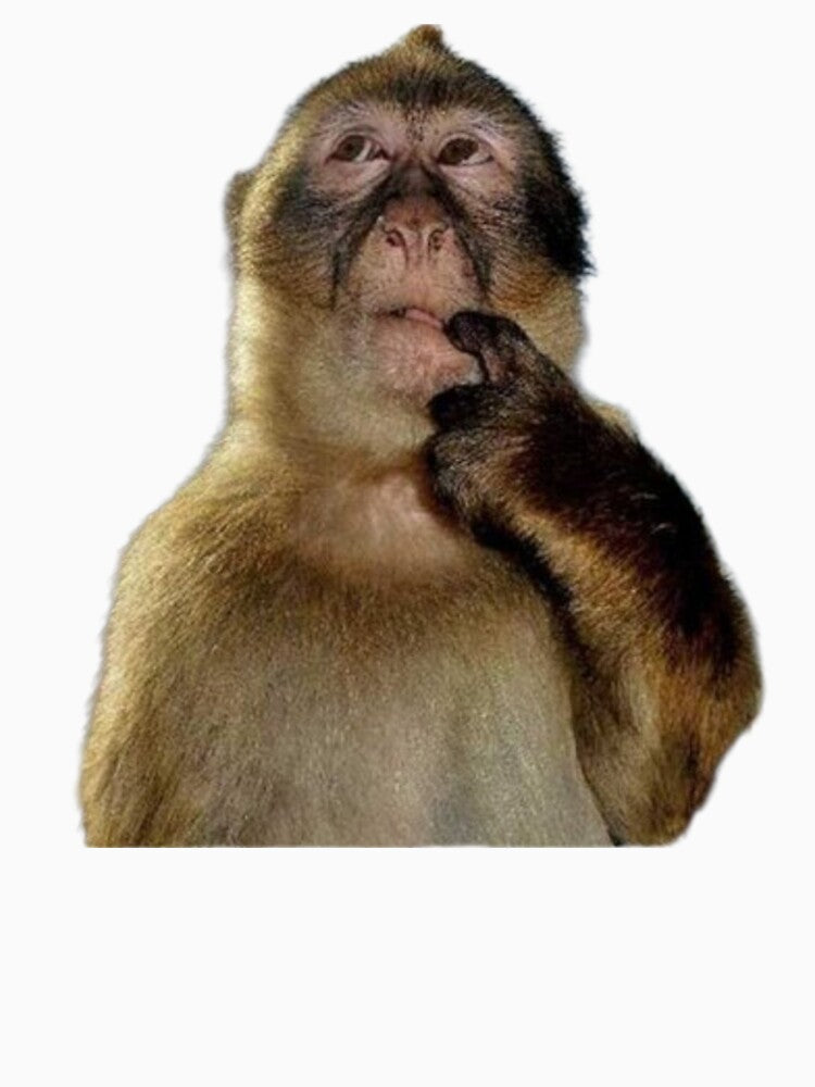 TikTok Thinking Monkey Reaction Pic by Ashweed