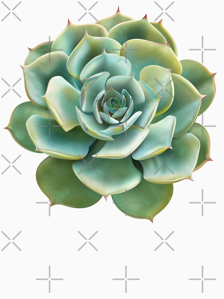 Cute Succulent by MendaciousMina