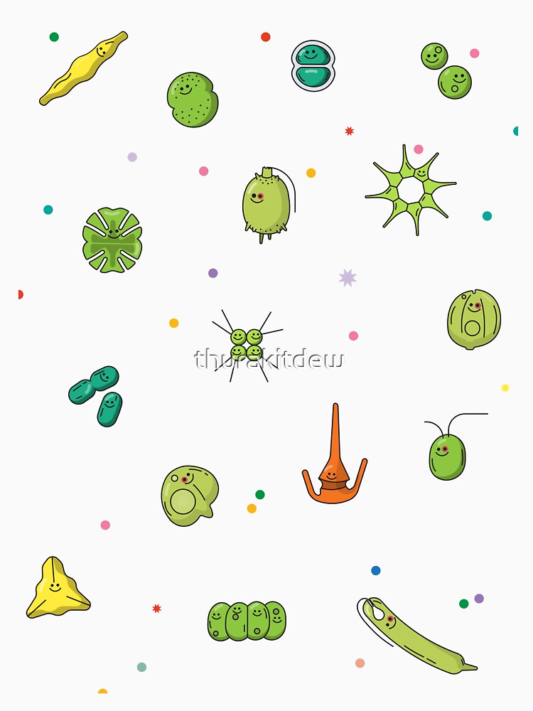 Cute microalgae and Cyanobacteria, Lovely Cartoon Phytoplankton, Gift for biologist, Taxonomist by thurakitdew