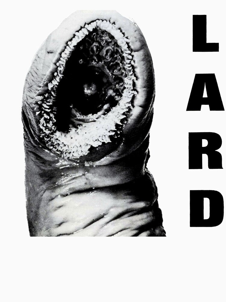 Lard by ActionTime