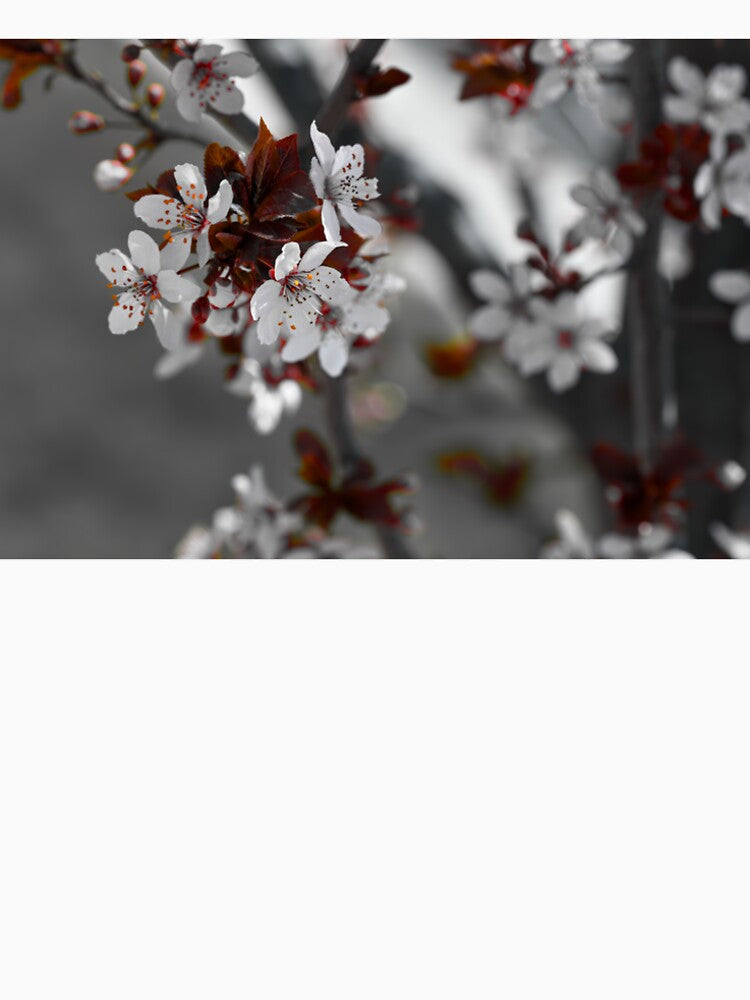 Color isolation edit of plum blossoms by Cblifeisgood