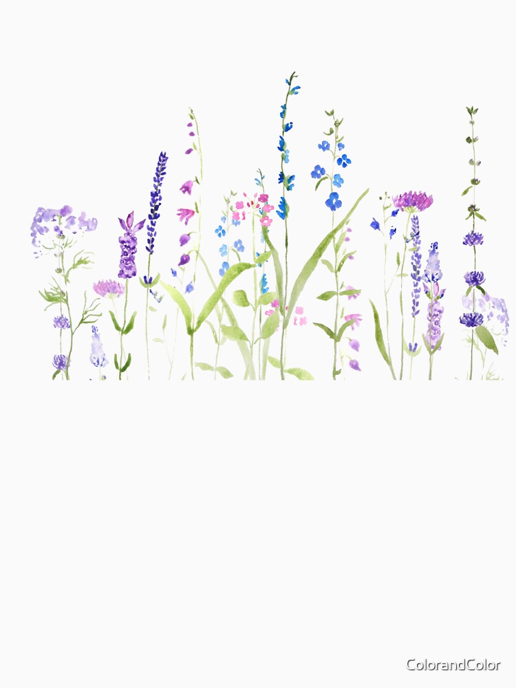 hand painted purple blue wild flowers watercolor painting by ColorandColor