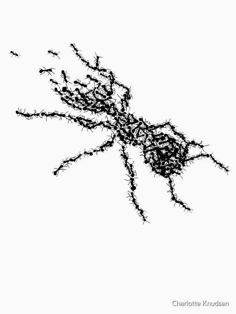 Ants by Charlotte Knudsen