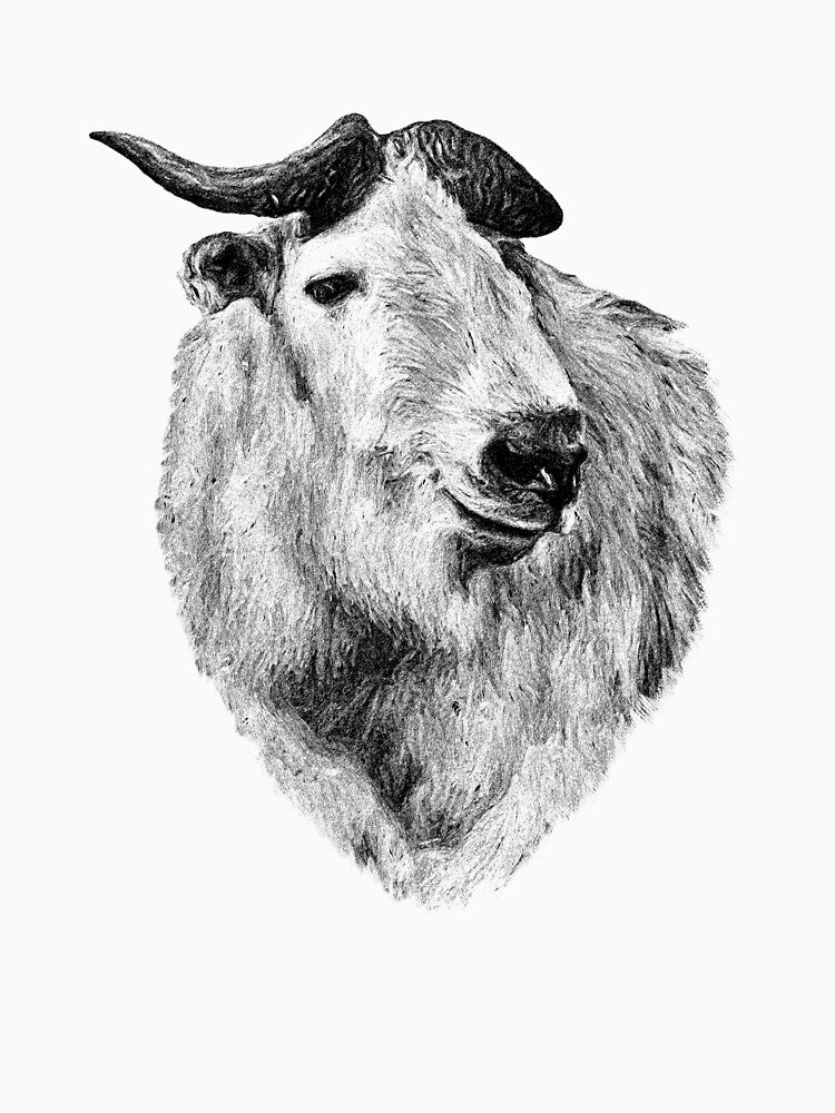 Takin by Guardi71