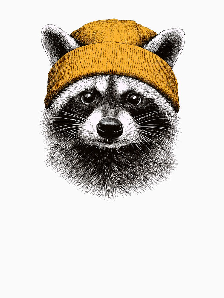 Raccoon Wearing Beanie by raccoon2opossum