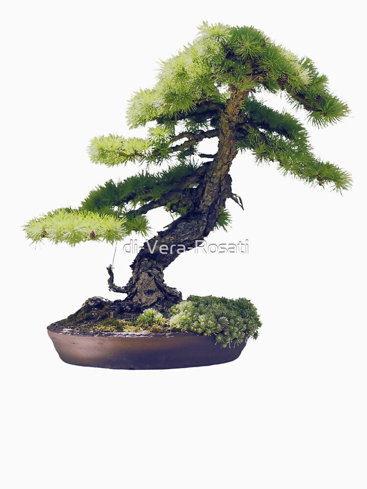 Bonsai by di-Vera-Rosati
