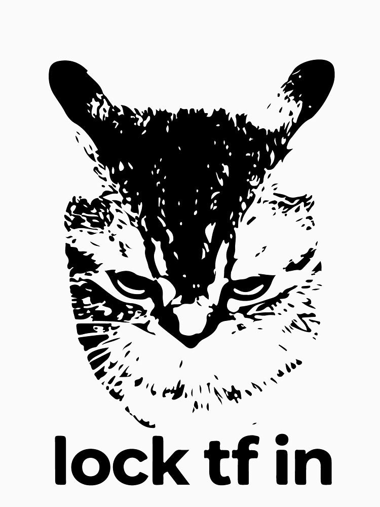 Lock TF In Cat Funny Meme Aggressive Cat Humor Design by kiralynstration