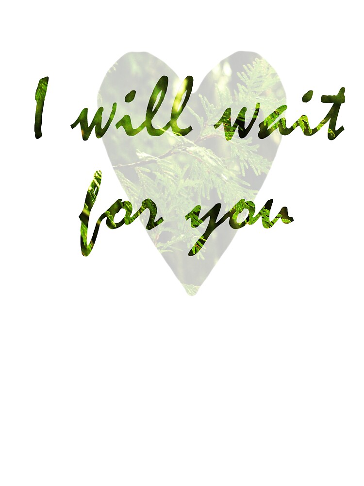 I Will Wait by starwhale97