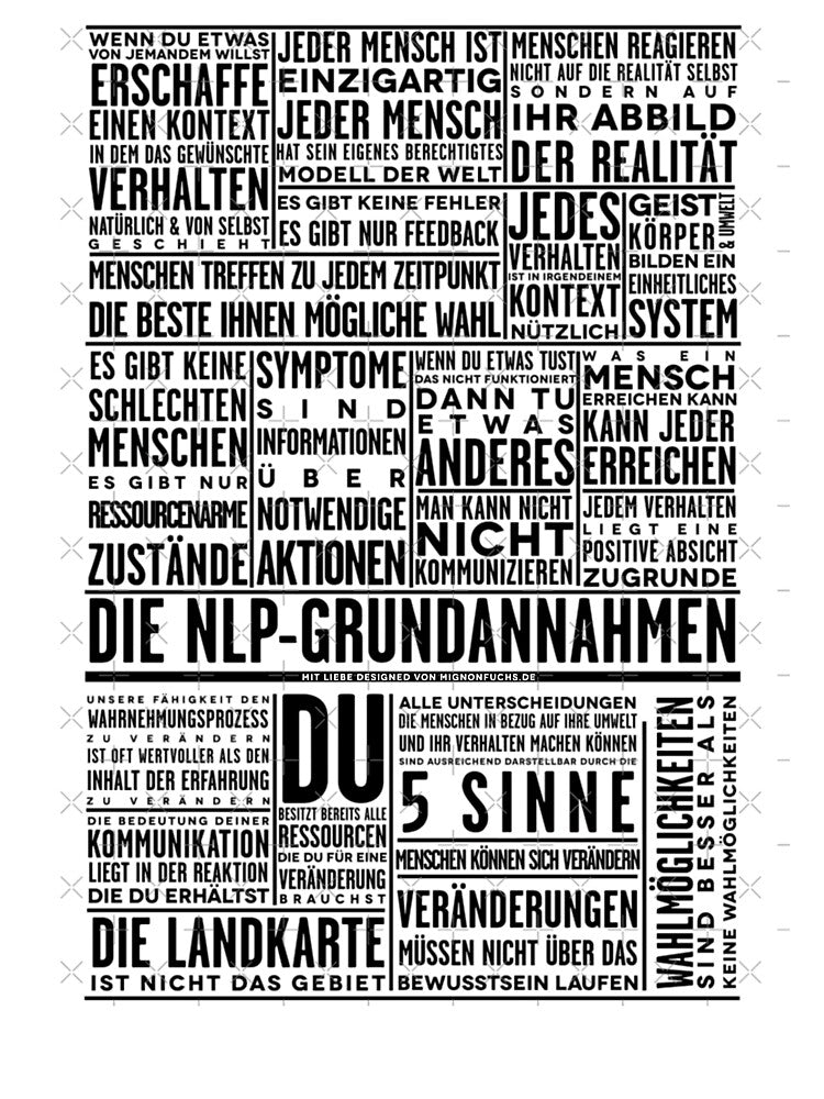 The NLP basic assumptions by ufcesqnk10
