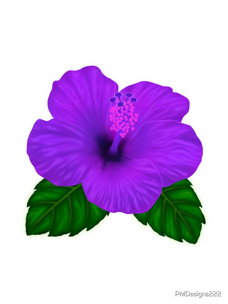 Purple Hibiscus flower by PMDesigns222