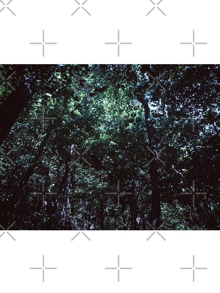 grunge forest blue dazecore aesthetic vintage wide angle by sielexis