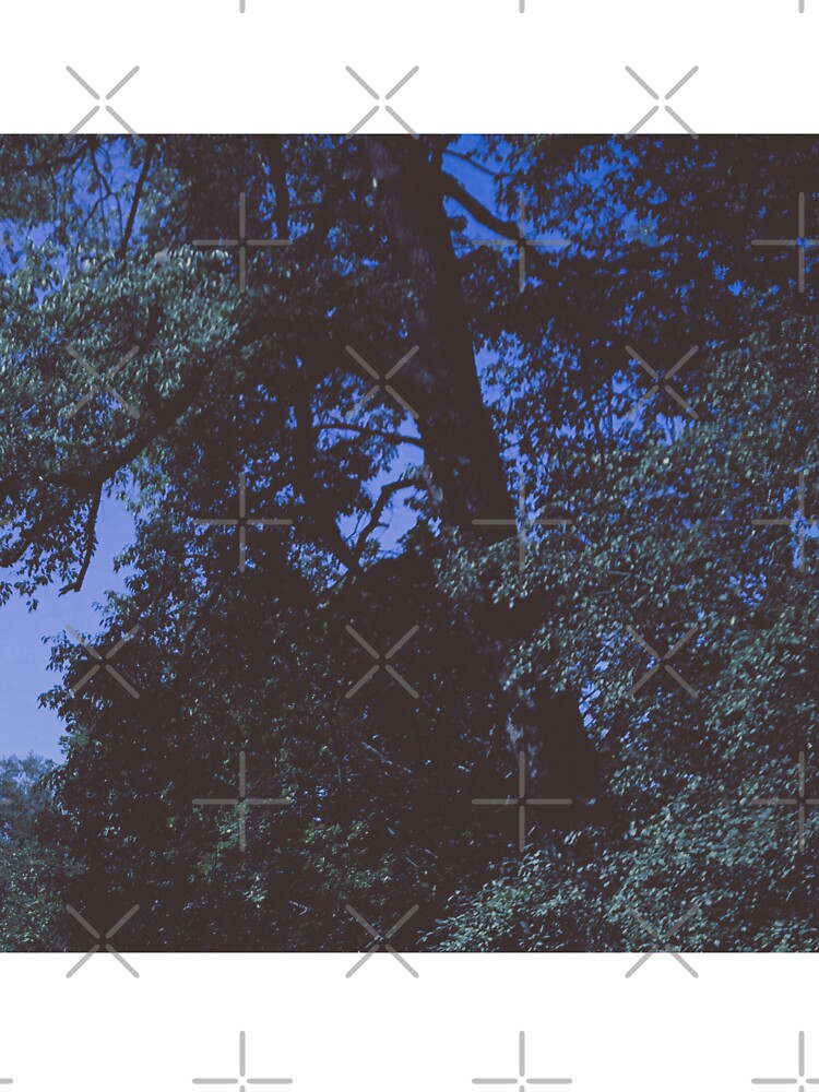 vintage aesthetic dazecore aesthetic photography 1:1 by sielexis