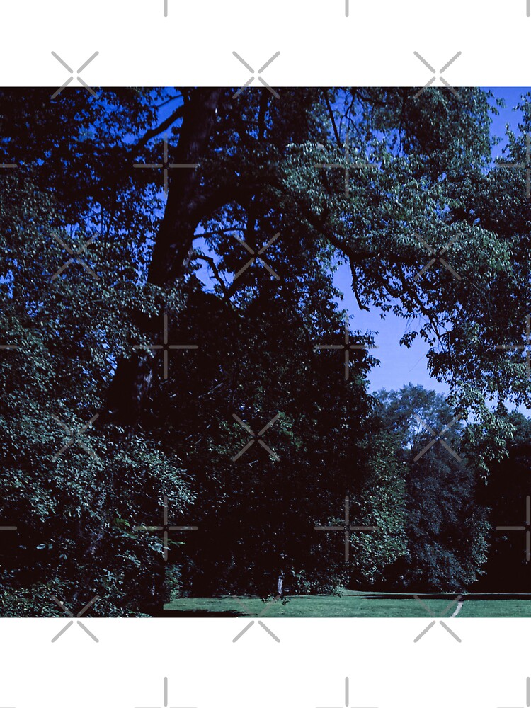 larger 1:1 ratio dazecore aesthetic trees by sielexis