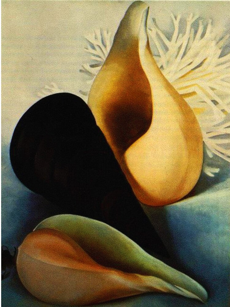 Georgia O'Keeffe by allezwagandi