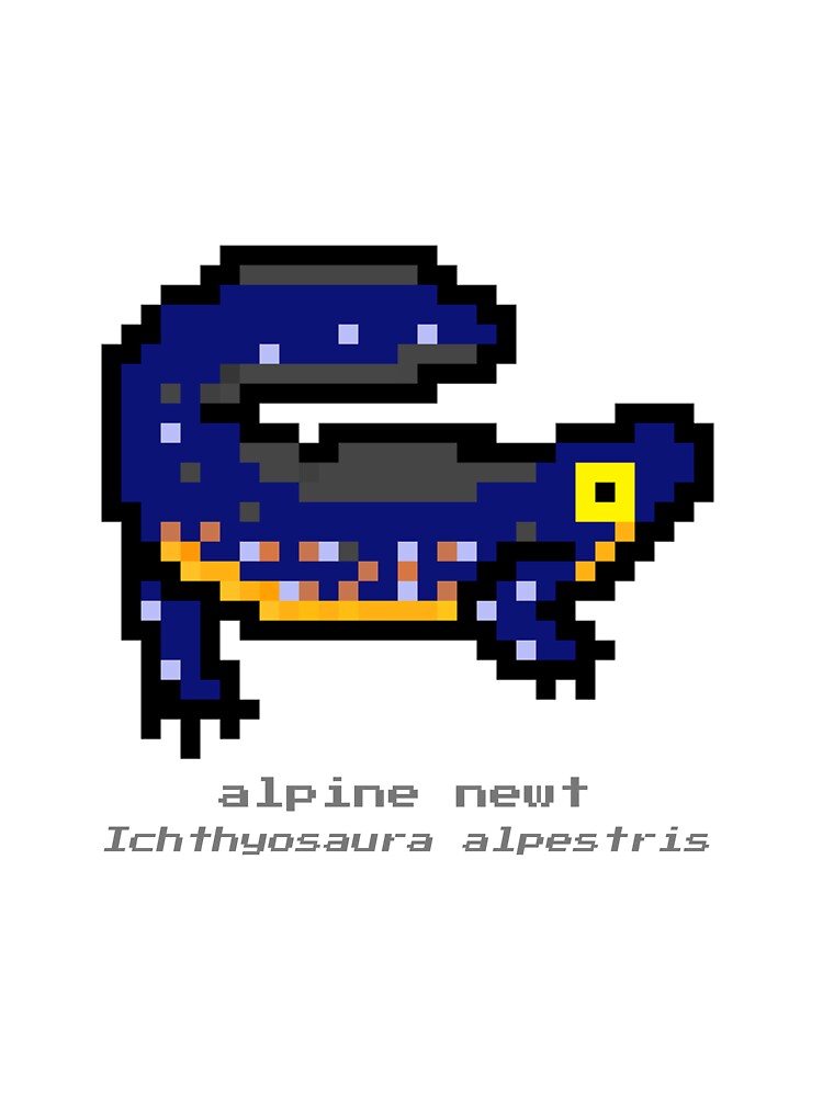 Pixel Alpine Newt by CheesyBugShop