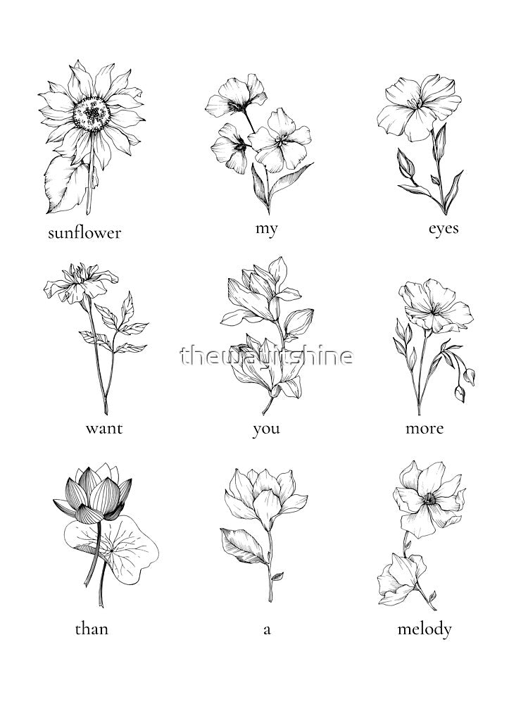 sunflower vol. 6 - b&w by thewayitshine