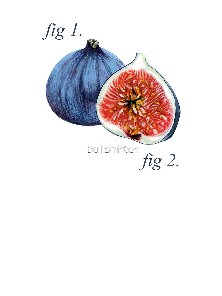 Annotated Figs diagram by bullshirter