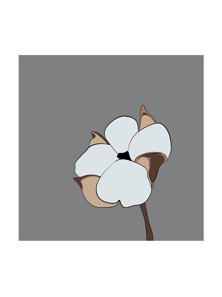 Botanical illustration | Cotton flower print by mariline-design