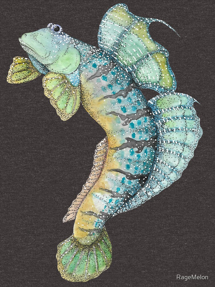 Watercolour Mudskipper by RageMelon