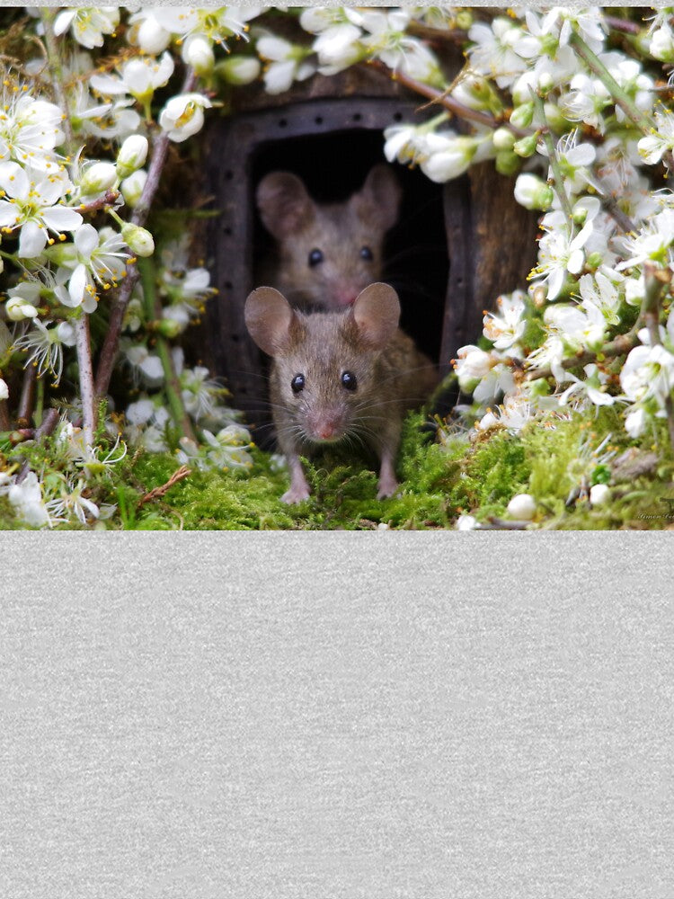 George the mouse in a log pile house - SPRING by Simon-dell