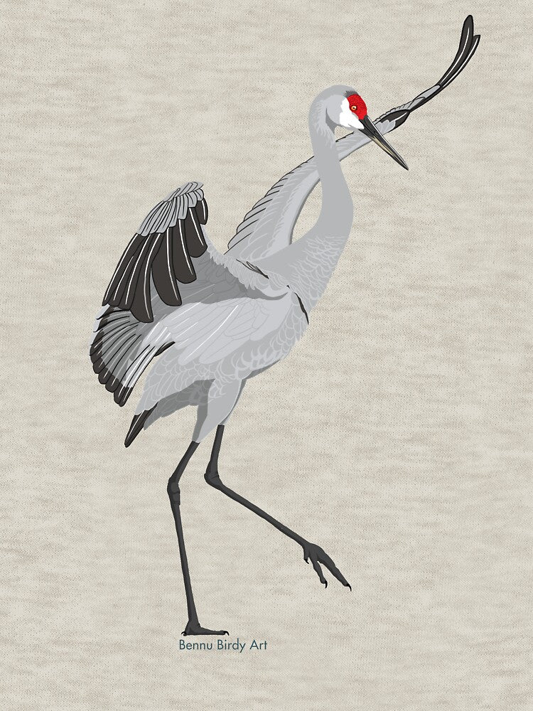 Sandhill Crane by BennuBirdy