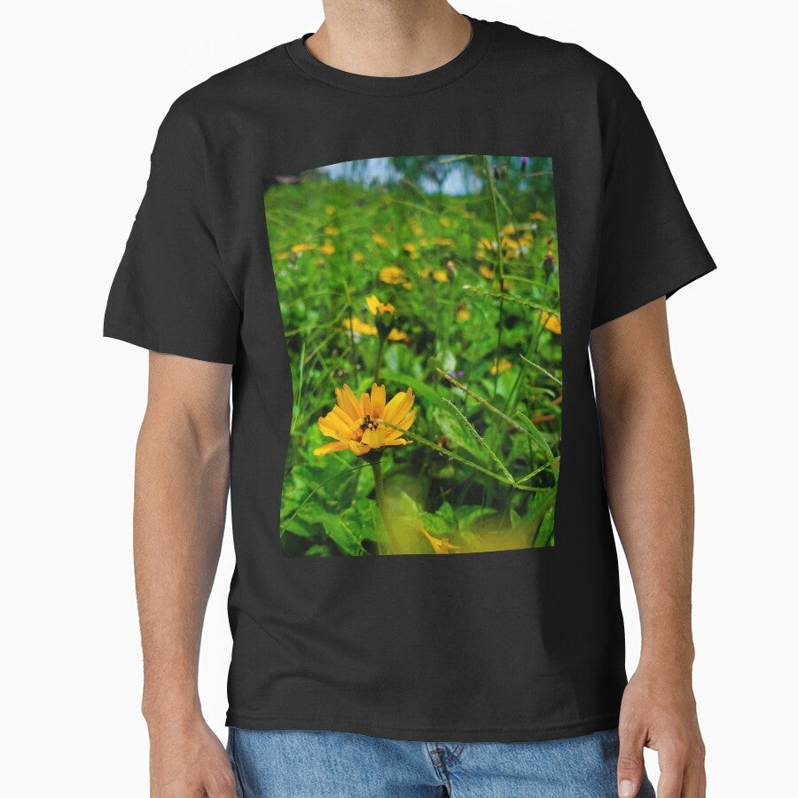 yellow flowers in green grass by Melquidedec