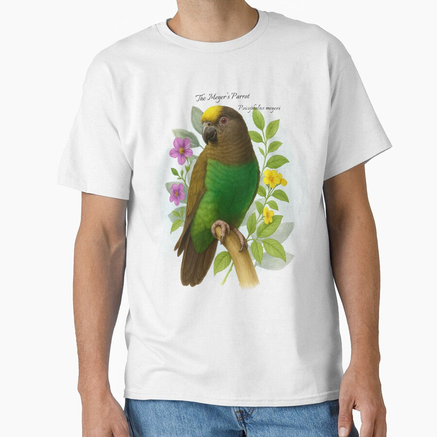 The Meyer's Parrot Scientific illustration Design by AvianDesign