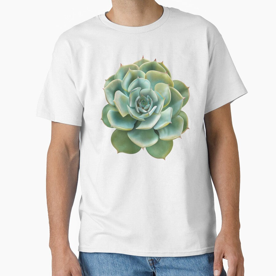 Cute Succulent by MendaciousMina