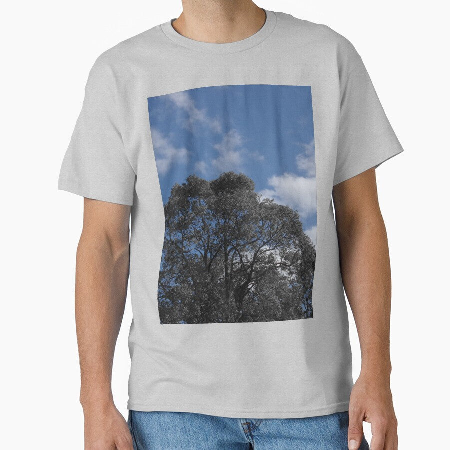 black and white trees with blue sky by BigAndRed