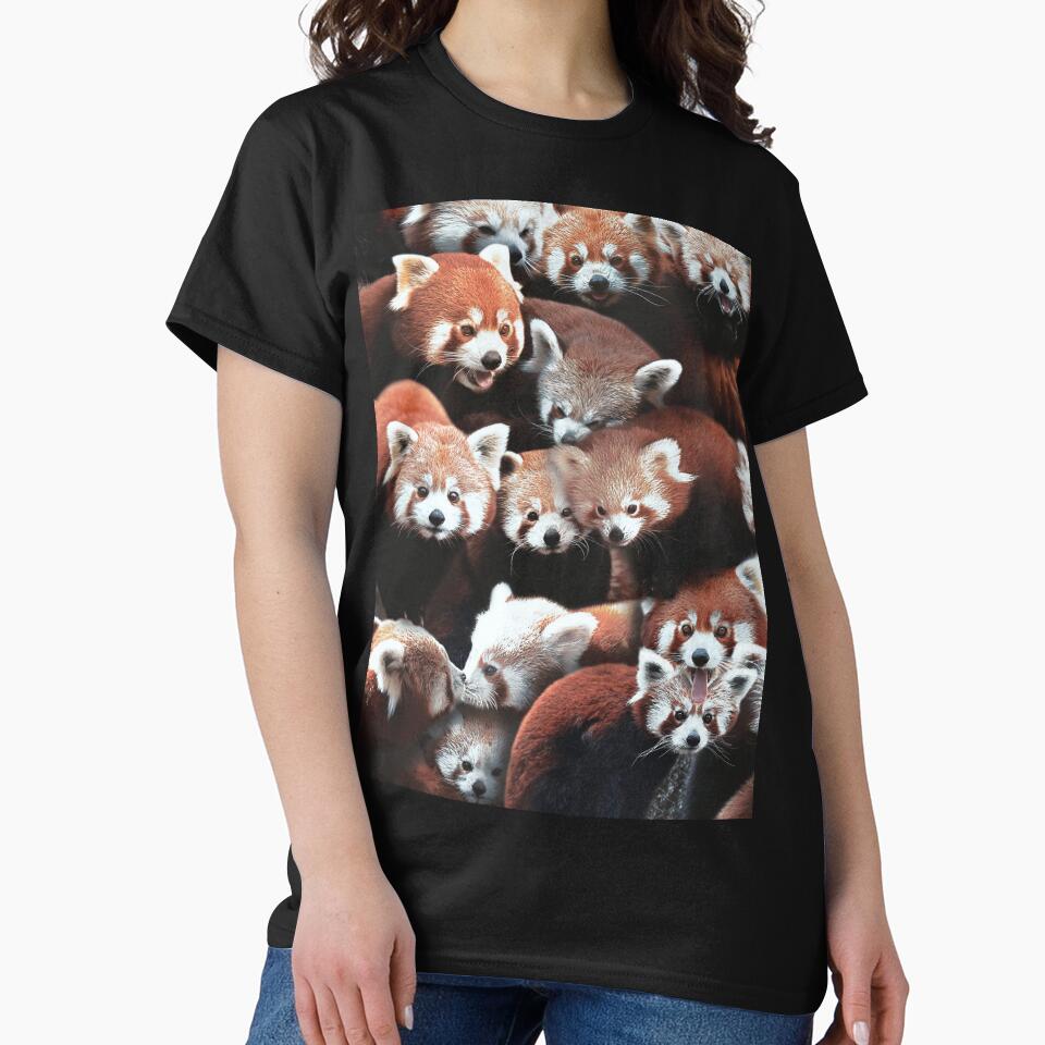 Red Pandas by MaxencePierrard