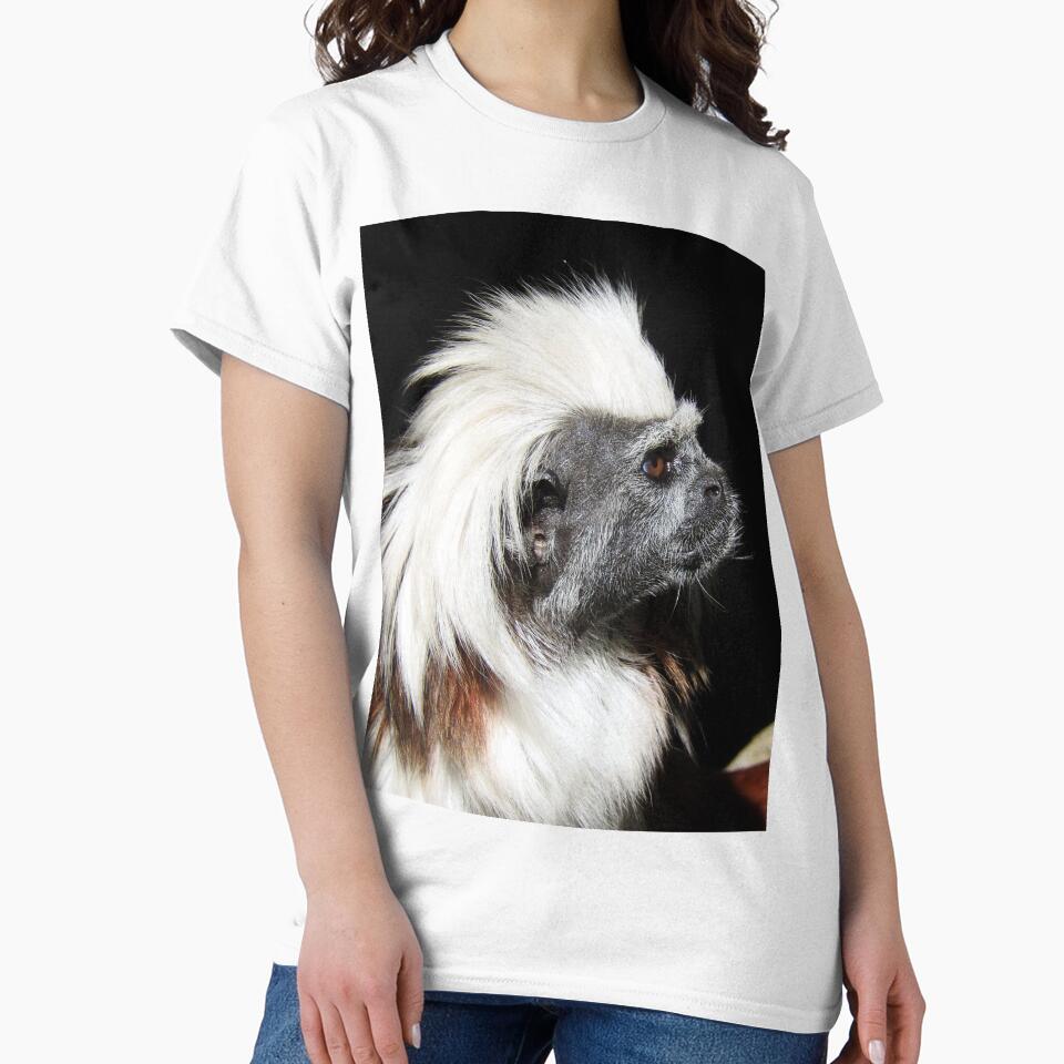 Cotton-top Tamarin by kirstybush