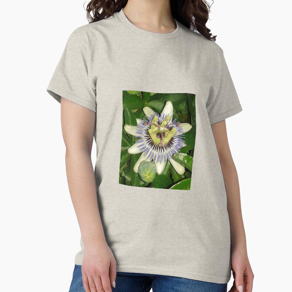 passionflower by Joanne Babb