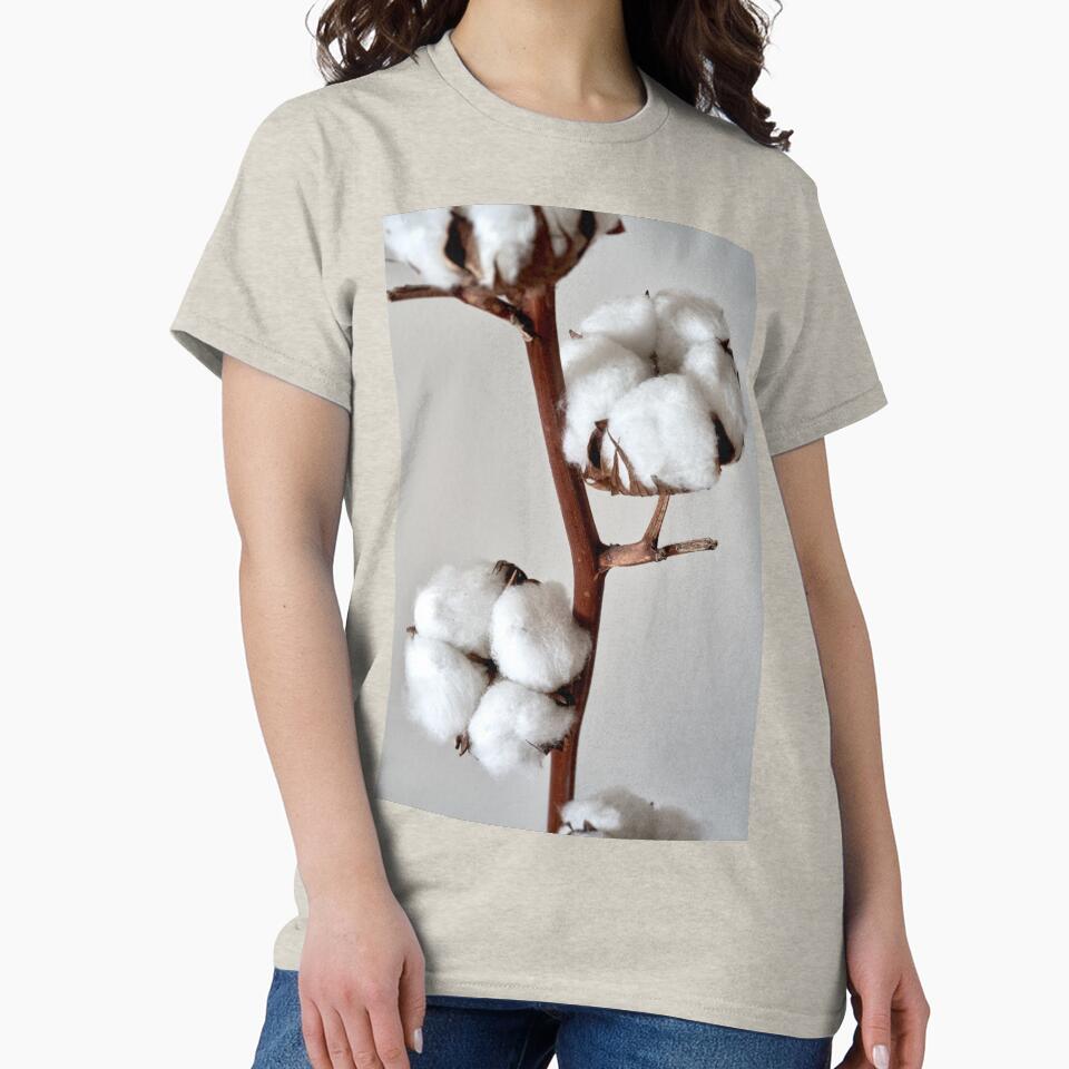 cotton flower by IgorKovalenko