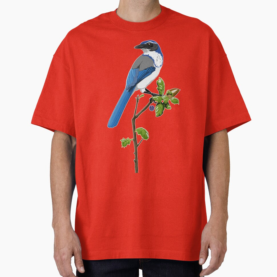 California Scrub-Jay by BennuBirdy