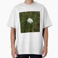 Cotton Grass by Sue Robinson