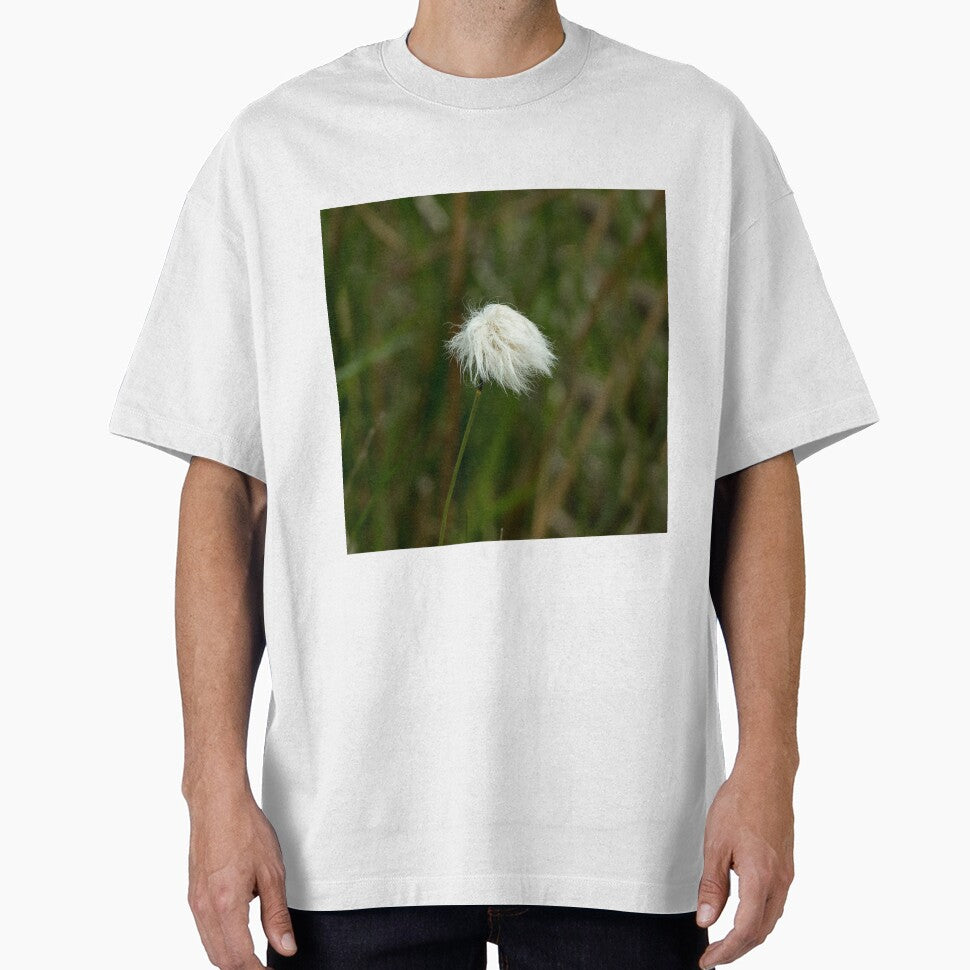 Cotton Grass by Sue Robinson