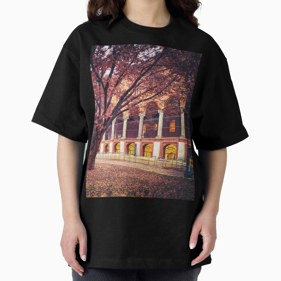 Autumn Leaves Trees Nature City Architecture Italy by eleonoraingrid