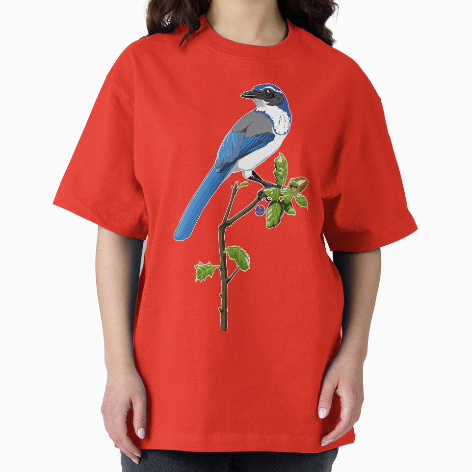 California Scrub-Jay by BennuBirdy