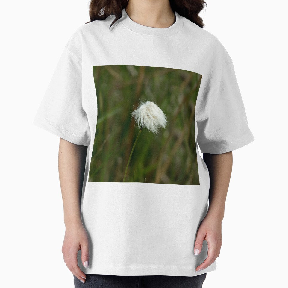 Cotton Grass by Sue Robinson