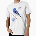 Blue Finch & Sketches by avestrazos