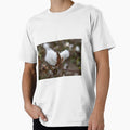 White textured fluff cotton plants on a blurred background close-up. Greece by Emma Grimberg