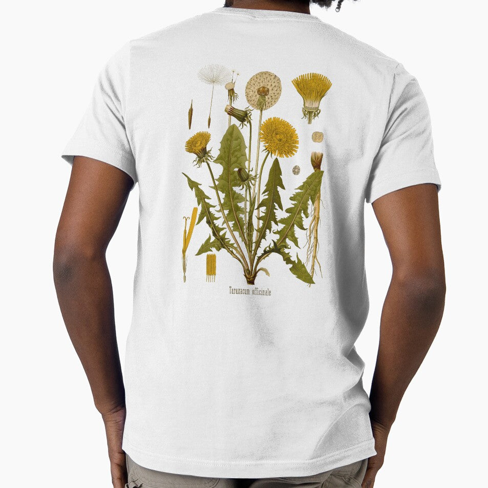 DANDELION Antique botanical illustration by FLIP-original